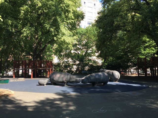 Safari Playground Central Park