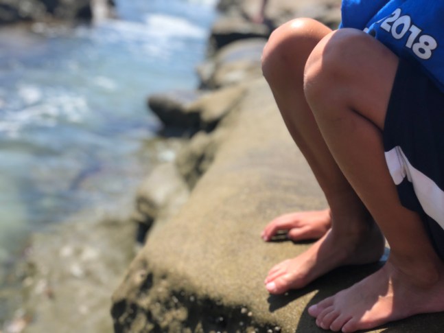 La Jolla Tide Pools with Kids Near San Diego CA