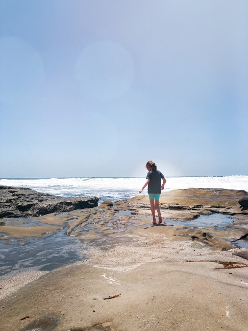 La Jolla Tide Pools with Kids Near San Diego CA