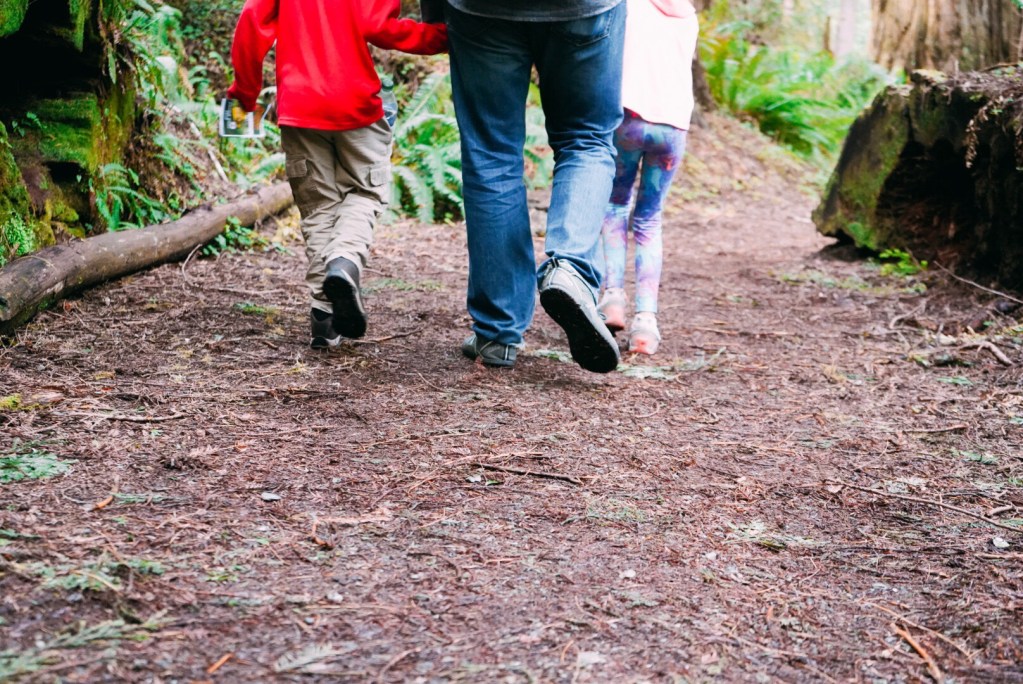 Visiting the Redwoods National and State Parks with kid - Bambini Travel