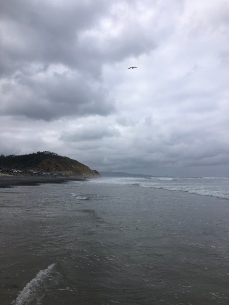 Torrey Pines State Beach - Bambini Travel