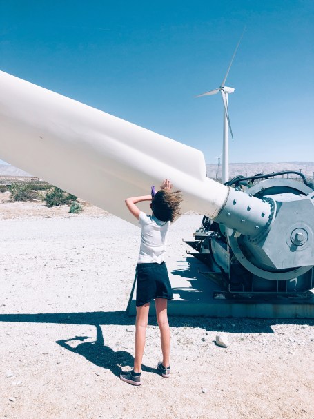 Windmill Farm Tour with Bambini Travel