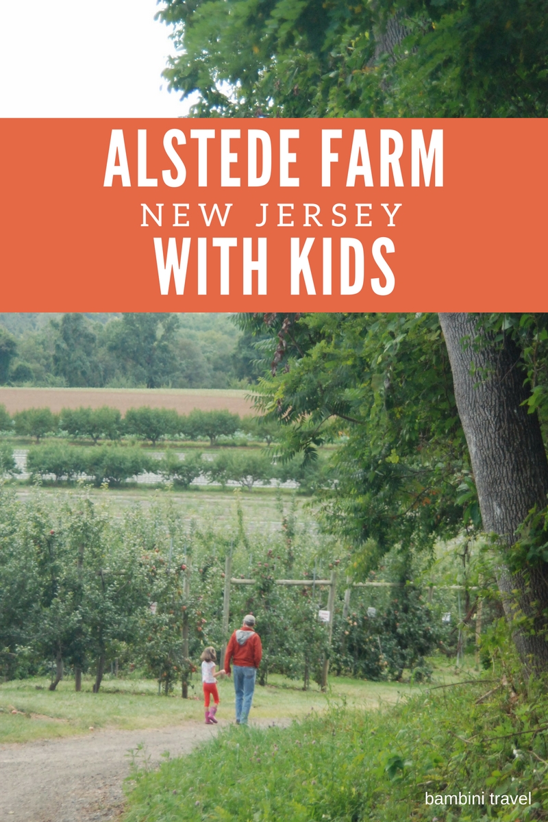 Alstede Farm in New Jersey with Kids for Fall Family Fun including apple picking and pumpkin patch