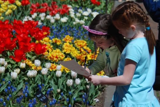 Rainbow Flower Garden Color Hunt