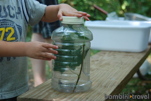 DIY Bug Jar Instructions