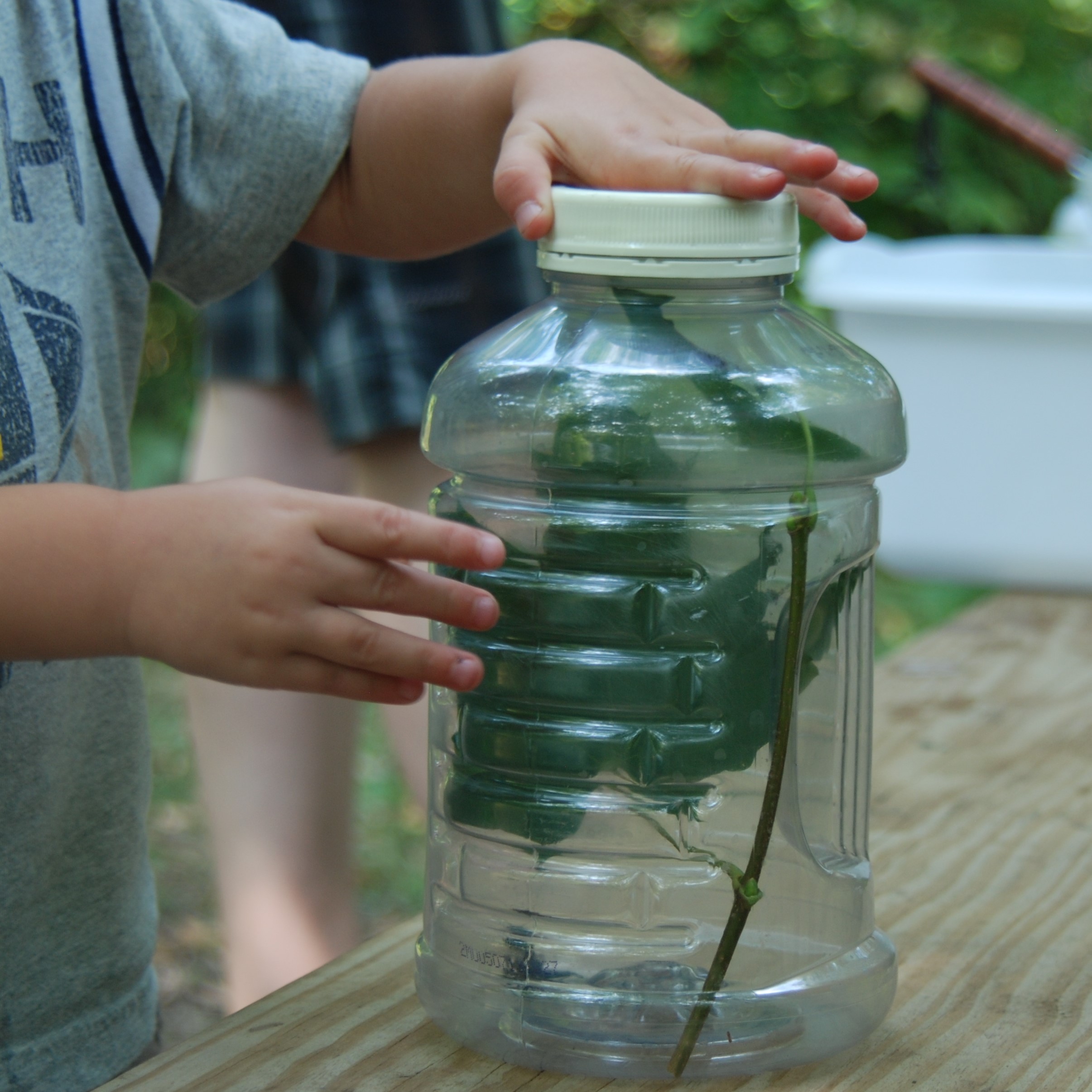 Easy Directions for a DIY Bug Jar