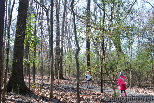 Nature Walk