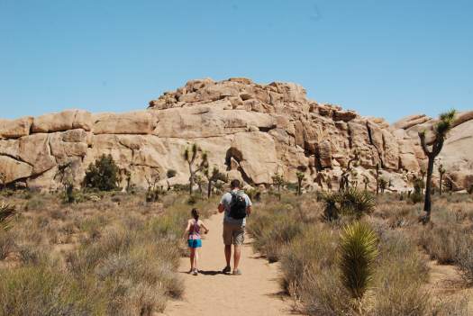 Joshua Tree National Park with Kids #juniorranger #nationalparks #familytravel #findyourpark #joshuatree #california