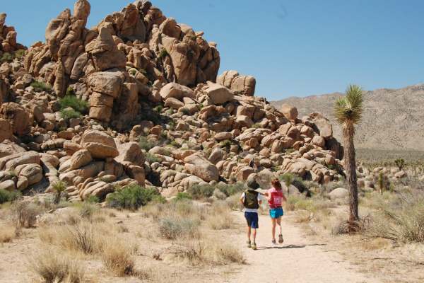 Joshua Tree National Park with Kids #juniorranger #nationalparks #familytravel #findyourpark #joshuatree #california