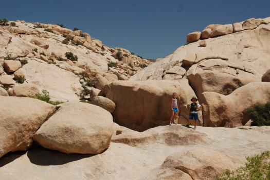 Joshua Tree National Park with Kids #juniorranger #nationalparks #familytravel #findyourpark #joshuatree #california