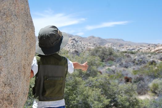 Joshua Tree National Park with Kids #juniorranger #nationalparks #familytravel #findyourpark #joshuatree #california