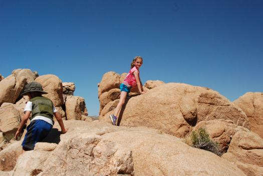 Joshua Tree National Park with Kids #juniorranger #nationalparks #familytravel #findyourpark #joshuatree #california