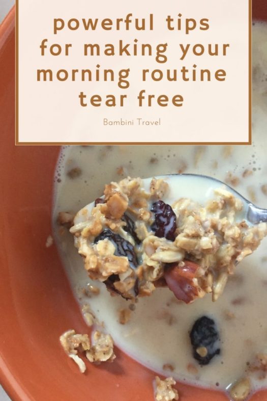 Powerful Tips for Making Your Morning Routine Tear Free