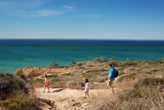 Torrey Pines Hike with Kids in San Diego CA