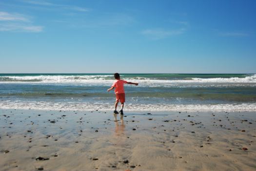 Torrey Pines Hike with Kids in San Diego CA