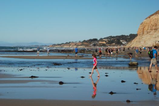 Torrey Pines Hike with Kids in San Diego CA