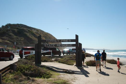 Torrey Pines Hike with Kids in San Diego CA