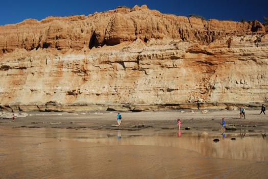 Torrey Pines Hike with Kids in San Diego CA