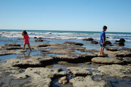 Torrey Pines Hike with Kids in San Diego CA