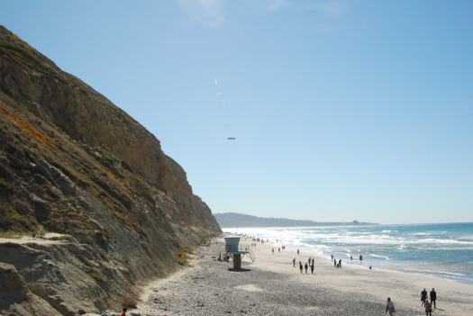 Torrey Pines Hike with Kids in San Diego CA