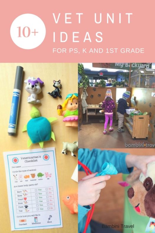 10+ Awesome Vet Unit Ideas for Preschool Kindergarten and First Grade