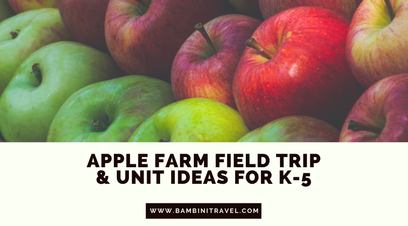 Apple Farm Field Trip and Learning Activities for Elementary Schoolers