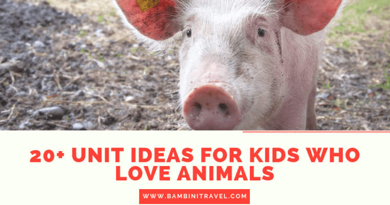 20+ Animal Themed Unit Ideas for Kids